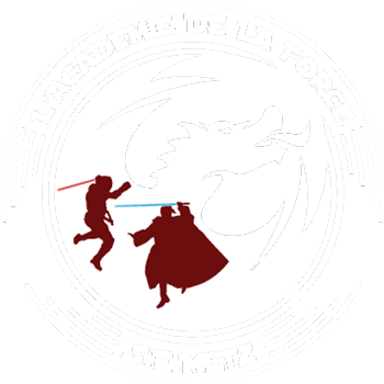 Logo académie de la force